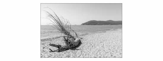 Fototapeta Plaża Morze Piasek 150 x 225 /140903632