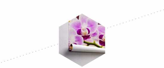 Fototapeta Tropikalna Orchidea 60 x 90