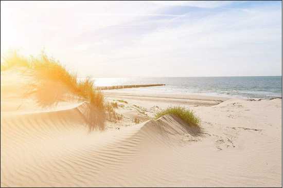 Fototapeta Plaża Morze Wydmy 90 x 135 /602661116