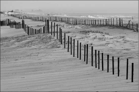 Fototapeta Plaża Morze Wydmy 60 x 90 /225437209