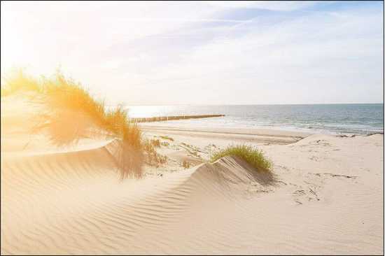 Fototapeta Plaża Morze Wydmy 150 x 225 /602661116