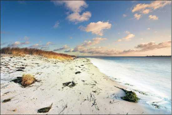 Fototapeta Plaża Morze Wydmy 120 x 180