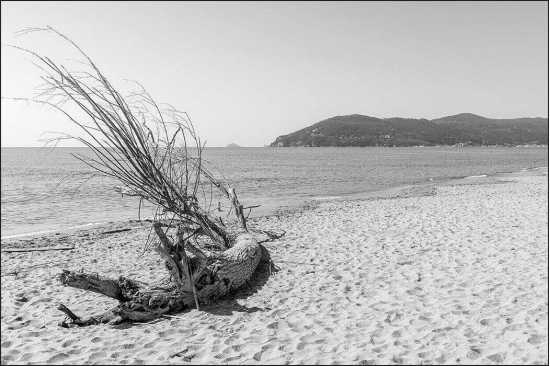 Fototapeta Plaża Morze Piasek 90 x 135 /140903632