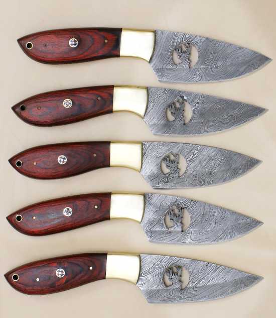 Pack of 5 Unique Stag design Dollar wood Hunting Knife Damascus Kitchenware